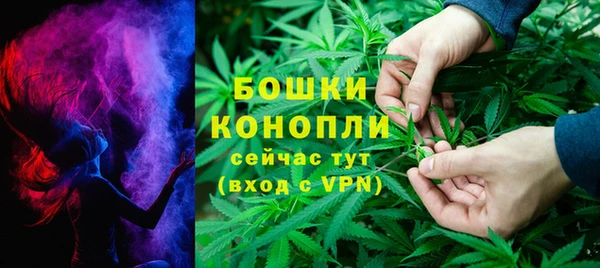 spice Зарайск