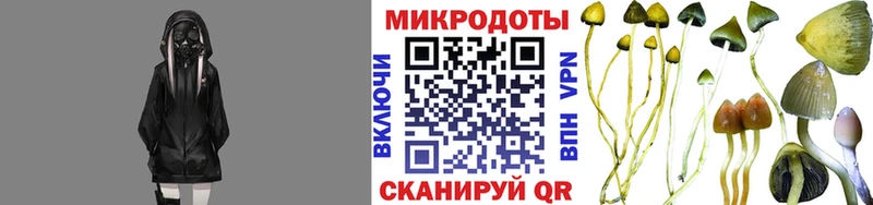 Псилоцибиновые грибы GOLDEN TEACHER нарко площадка Telegram Горняк kraken зеркало