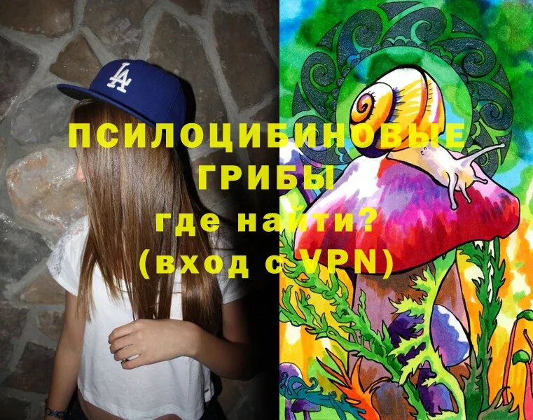 MEGA сайт  Горняк  Галлюциногенные грибы Cubensis 